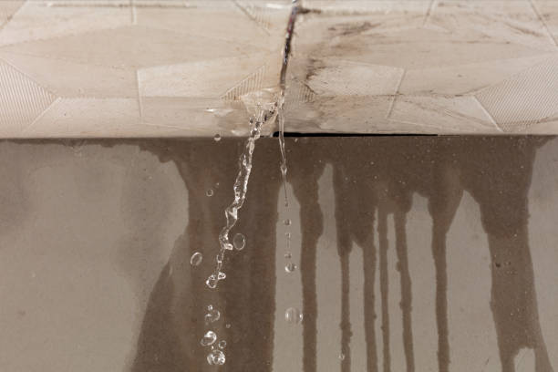 Professional Sewage Cleanup technician working in Colfax, IL